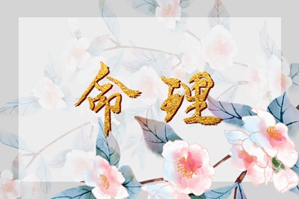 日历全年黄道吉日查询_日历农历阳历转换查询_万年历2026年日历表